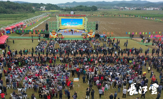 　　9月21日，咸寧市咸安區(qū)高橋蘿卜小鎮(zhèn)百畝草地上舉行了“慶豐收·迎小康”第三屆中國農(nóng)民豐收節(jié)湖北分會(huì)場咸寧主會(huì)場慶祝活動(dòng)，全市各界農(nóng)民代表相聚白水畈的美麗田野，分享豐收的喜悅，慶祝屬于自己的節(jié)日。  　　開幕式上舉行了精彩的文藝演出，演出在舞蹈《慶豐收》中拉開序幕，歌舞《錦繡小康》呈現(xiàn)出咸寧各地欣欣向榮、脫貧致富奔小康的幸福場景。網(wǎng)紅歌曲《你莫走》、舞蹈《慶豐收》、歌舞《一起幸?！?，一個(gè)個(gè)精彩的節(jié)目輪番上演，博得現(xiàn)場觀眾陣陣掌聲。  　　開幕活動(dòng)現(xiàn)場還舉行了頒獎(jiǎng)儀式，第二屆“美麗中國、鄉(xiāng)村振興”全國農(nóng)民詩歌邀請賽獲獎(jiǎng)組織和個(gè)人，全市農(nóng)村人居環(huán)境整治示范村，省級農(nóng)業(yè)產(chǎn)業(yè)化工作先進(jìn)集體和先進(jìn)個(gè)人上臺(tái)領(lǐng)獎(jiǎng)?，F(xiàn)場還舉行了鄂南民俗展演、農(nóng)民趣味運(yùn)動(dòng)會(huì)、扶貧農(nóng)產(chǎn)品以及咸寧特色農(nóng)產(chǎn)品展銷等豐富多彩的活動(dòng)?；鸨娜藲?，讓在場的展銷商賺得是盆滿缽滿。  　　咸寧市咸安區(qū)鑫達(dá)種養(yǎng)專業(yè)合作社理事長萬永輝：今年家里的香菇都豐收了，一上午我就賣出了一萬多元，我們合作社采取的是“合作社+農(nóng)戶”的模式，也帶領(lǐng)了20多戶貧困戶脫貧了。  　　咸寧市致遠(yuǎn)種植專業(yè)合作社理事長 吳海兵:我們今年是真真正正地豐收了，我們生姜的價(jià)格足足翻了三倍，跟著我們一起的貧困戶也平均增收了3000元左右。  　　而這一系列的活動(dòng)，都是在蘿卜小鎮(zhèn)的草地上進(jìn)行的，草地作舞臺(tái)、草地搞展示、草地上比賽等等，這數(shù)百畝草地，此時(shí)此刻成為了咸寧農(nóng)民們慶祝豐收的歡樂場。  　　咸寧市咸安區(qū)高橋鎮(zhèn)黨委書記王順榮：今年的湖北分會(huì)場在我們高橋蘿卜小鎮(zhèn)舉辦，我感到很榮幸，我們從一顆蘿卜做起，以白水畈蘿卜為核心品牌，打造白水畈"我家菜園"蔬菜基地及旅游觀光體驗(yàn)中心，發(fā)展綠色農(nóng)業(yè)、生態(tài)旅游，增加產(chǎn)業(yè)開發(fā)的綜合效益，創(chuàng)建蘿卜特色小鎮(zhèn)，走出了一條農(nóng)業(yè)、旅游相結(jié)合的新路，推動(dòng)高橋鎮(zhèn)一二三產(chǎn)業(yè)融合發(fā)展。  　　鄉(xiāng)親們說，這在以前是想都不敢想的，高橋鎮(zhèn)蝸居山里，太偏遠(yuǎn)又沒有資源優(yōu)勢，想發(fā)展太難。而現(xiàn)在這一切的悄然改變，得益于2017年10月13日，咸安區(qū)政府與鄂旅投公司正式簽署的《131軍旅小鎮(zhèn)+白水畈田園綜合體旅游開發(fā)投資合作協(xié)議》，鄂旅投公司將投資30億元，在高橋鎮(zhèn)打造131軍旅小鎮(zhèn)和白水畈田園綜合體旅游開發(fā)項(xiàng)目。項(xiàng)目共分為131軍旅小鎮(zhèn)、白水畈美麗鄉(xiāng)村、特色農(nóng)業(yè)示范、旅游綜合體四大板塊，打造旅游綜合服務(wù)區(qū)、澄水洞軍事展示區(qū)、青少年國防教育基地、鐵血軍事樂園區(qū)、戰(zhàn)狼訓(xùn)練基地、美麗村灣民俗區(qū)、四季瓜果示范區(qū)、農(nóng)耕文化展示區(qū)、特色商業(yè)街區(qū)和康養(yǎng)度假區(qū)十大功能區(qū)。  　　咸寧市咸安區(qū)高橋鎮(zhèn)黨委書記王順榮：我們引進(jìn)鄂旅投，打造蘿卜小鎮(zhèn)，目前建設(shè)有蘿卜小鎮(zhèn)科普館、蘿卜鄉(xiāng)學(xué)院、蘿卜酒店等休閑旅游項(xiàng)目，十一馬上到了，也歡迎廣大游客前來游玩。  　　今年是決勝全面建成小康社會(huì)、決戰(zhàn)脫貧攻堅(jiān)之年。咸寧市本著"儉樸、祥和、歡樂，農(nóng)民參與，農(nóng)民唱主角"的辦節(jié)思路，而此屆中國農(nóng)民豐收節(jié)辦節(jié)費(fèi)用也是倍減。  　　農(nóng)為邦本，本固邦寧。今年，面對重大疫情和特大洪澇災(zāi)害，咸寧市扎實(shí)做好“六穩(wěn)”工作、落實(shí)“六保”任務(wù)，克服重重困難，推動(dòng)農(nóng)業(yè)實(shí)現(xiàn)持續(xù)平穩(wěn)發(fā)展，形成了茶葉、油茶、中藥材等12個(gè)特色農(nóng)業(yè)主導(dǎo)產(chǎn)業(yè)，“全國一村一品示范村鎮(zhèn)”發(fā)展到14家，國家級、省級農(nóng)業(yè)產(chǎn)業(yè)化龍頭企業(yè)達(dá)到55家。尤其是糧食產(chǎn)量預(yù)計(jì)達(dá)118萬噸、蔬菜產(chǎn)量預(yù)計(jì)達(dá)260萬噸，生豬預(yù)計(jì)出欄183.52萬頭，農(nóng)業(yè)生產(chǎn)再獲豐收，糧食安全有效保障，讓農(nóng)民的腰包更鼓、家園更美、生活更甜，為加快實(shí)施鄉(xiāng)村振興戰(zhàn)略、推動(dòng)咸寧高質(zhì)量發(fā)展提供堅(jiān)實(shí)保障。